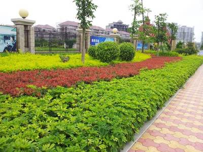 园林绿化工程施工内业资料项目与内容全解析