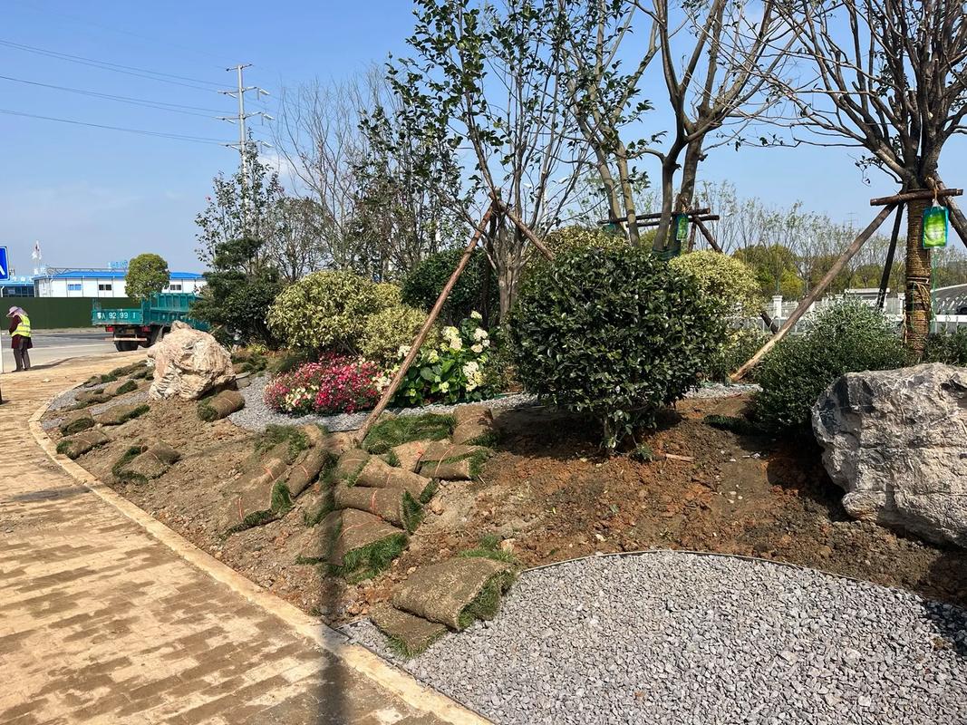 施工现场实拍 探索园林绿化工程的精细艺术与生态实践